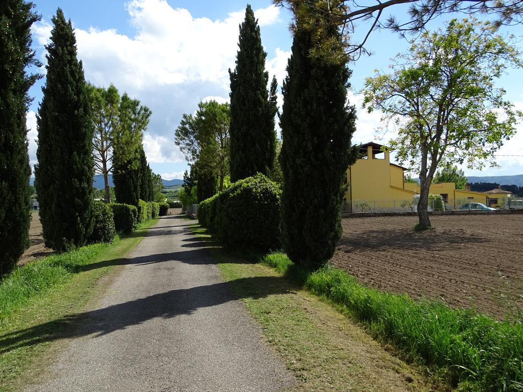 La Vecchia Stalla B&B Narni Exterior photo